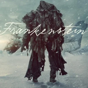 d2 Frankenstein Netflix Poster Wall Art A5 A4 A3 Super High Quality Photo Paper Design 2