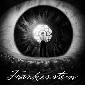 d4 Frankenstein Netflix Poster Wall Art A5 A4 A3 Super High Quality Photo Paper Design 4