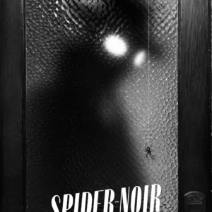Spider Noir Poster Wall Art A5 A4 A3 Super High Quality Photo Paper Design 2