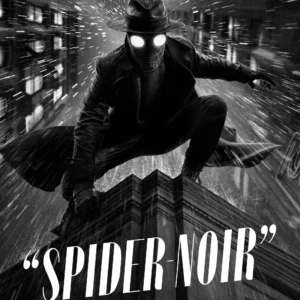 Spider Noir Poster Wall Art A5 A4 A3 Super High Quality Photo Paper Design 3